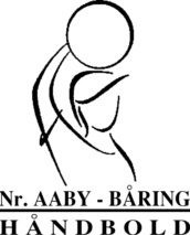 Logo lille NBHK